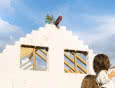 Wybór materiału na ściany. Porównanie systemów YTONG oraz IZODOM